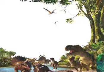범주에서의 사진 효과 어린이용 다양한 프레임 № 153254