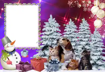 범주에서의 사진 효과 어린이 휴일 № 178291