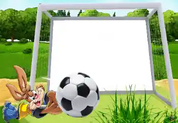 범주에서의 사진 효과 모든 것을 알고 하고 싶어요 № 133181