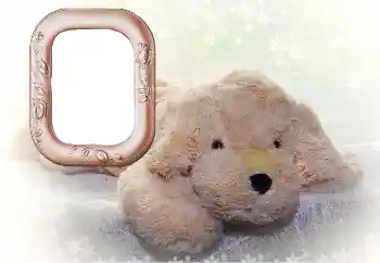 범주에서의 사진 효과 내 장난감과 애완 동물 № 169102