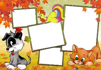 범주에서의 사진 효과 내 장난감과 애완 동물 № 3929