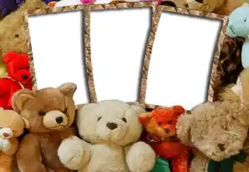 범주에서의 사진 효과 내 장난감과 애완 동물 № 6505