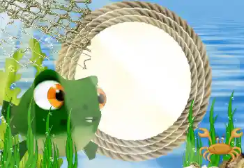 범주에서의 사진 효과 바다에 № 4439