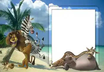 범주에서의 사진 효과 바다에 № 5342