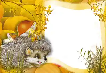 범주에서의 사진 효과 옥외 № 166562