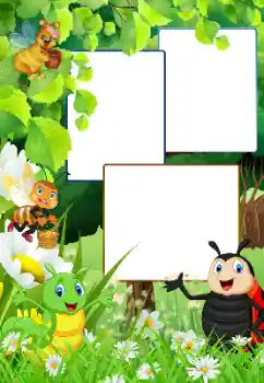 범주에서의 사진 효과 옥외 № 180793