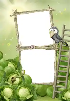 범주에서의 사진 효과 첫해 № 140978 범주에서의 사진 효과 첫해 № 140978