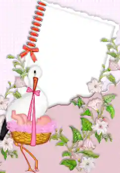 범주에서의 사진 효과 첫해 № 150384 범주에서의 사진 효과 첫해 № 150384