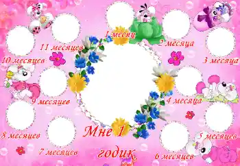 프레임에 비문: 1년 프레임에 비문: 1년