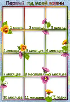 프레임에 비문: 1년 프레임에 비문: 1년