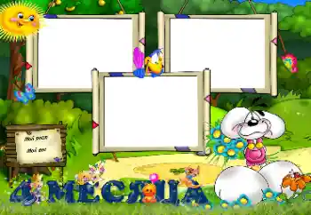 프레임에 비문: 4 개월 프레임에 비문: 4 개월