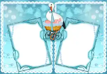 범주에서의 사진 효과 첫해 № 192890