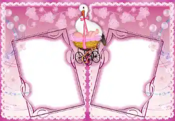 범주에서의 사진 효과 첫해 № 192937