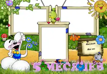 프레임에 비문: 5 개월 프레임에 비문: 5 개월