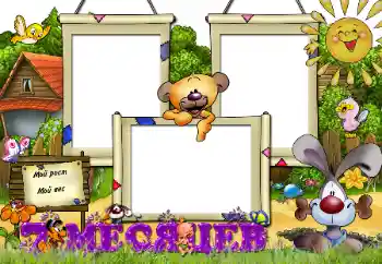 프레임에 비문: 7 개월 프레임에 비문: 7 개월