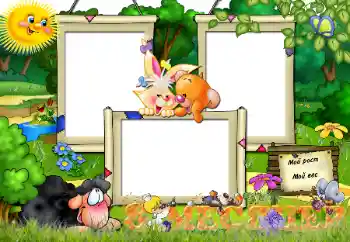 프레임에 비문: 8 개월 프레임에 비문: 8 개월