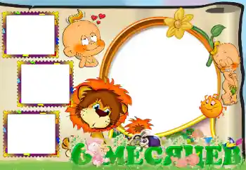 프레임에 비문: 6 개월 프레임에 비문: 6 개월