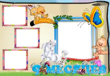 프레임에 비문: 9 개월 프레임에 비문: 9 개월