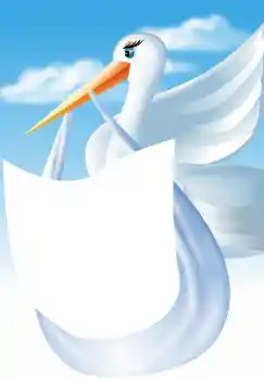 범주에서의 사진 효과 첫해 № 4591