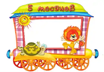 프레임에 비문: 5 개월 프레임에 비문: 5 개월