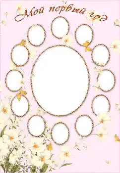 프레임에 비문: 1년 프레임에 비문: 1년