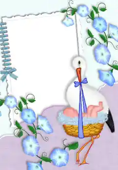 범주에서의 사진 효과 첫해 № 99875 범주에서의 사진 효과 첫해 № 99875