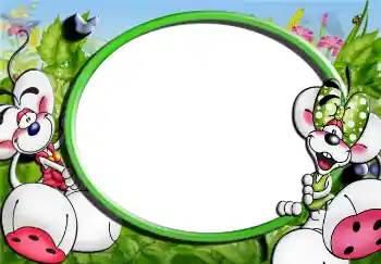 범주에서의 사진 효과 워크 № 2530