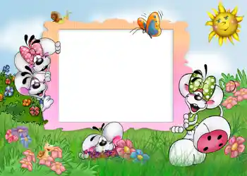 범주에서의 사진 효과 워크 № 528