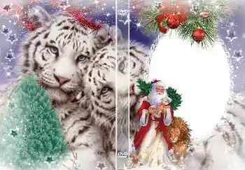 프레임에 비문: 새해 프레임에 비문: 새해