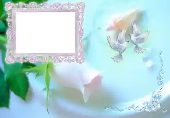 프레임에 비문: 청첩장