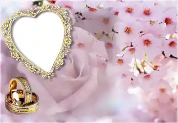 프레임에 비문: 청첩장