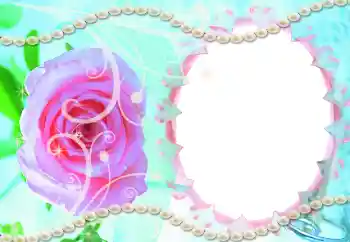 프레임에 비문: 청첩장