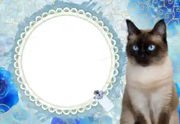 프레임에 비문: 2026