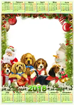 프레임에 비문: 2026 프레임에 비문: 2026