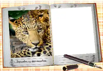 프레임에 비문: 2026