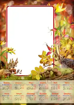 프레임에 비문: 2026 프레임에 비문: 2026