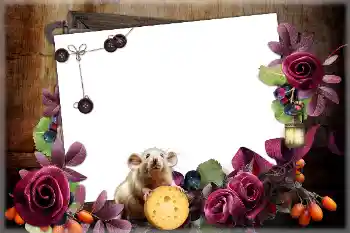 프레임에 비문: 2026