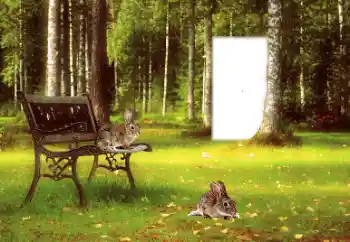 프레임에 비문: 2026