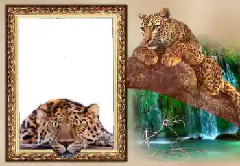 프레임에 비문: 2026