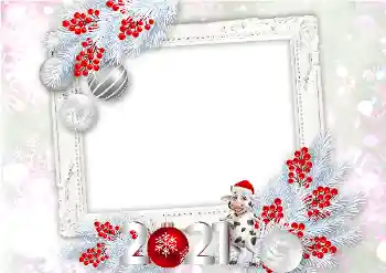 프레임에 비문: 2026