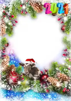 프레임에 비문: 2026