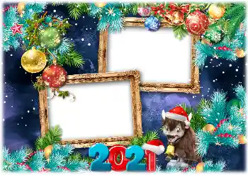 프레임에 비문: 2026 프레임에 비문: 2026