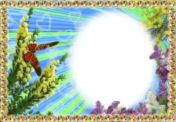 프레임에 비문: 2026 프레임에 비문: 2026