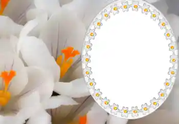 프레임에 비문: 2026 프레임에 비문: 2026