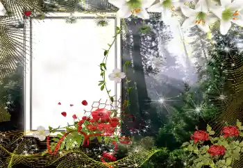 프레임에 비문: 2026 프레임에 비문: 2026