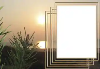 프레임에 비문: 2026 프레임에 비문: 2026