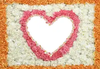 프레임에 비문: 2026 프레임에 비문: 2026