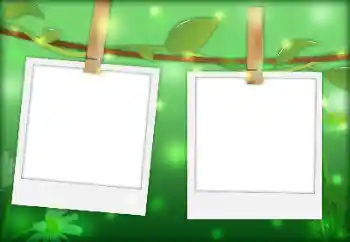 범주에서의 사진 효과 다른 № 144901 범주에서의 사진 효과 다른 № 144901