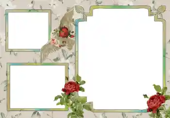 범주에서의 사진 효과 다른 № 15030 범주에서의 사진 효과 다른 № 15030