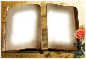 범주에서의 사진 효과 다른 № 180729 범주에서의 사진 효과 다른 № 180729